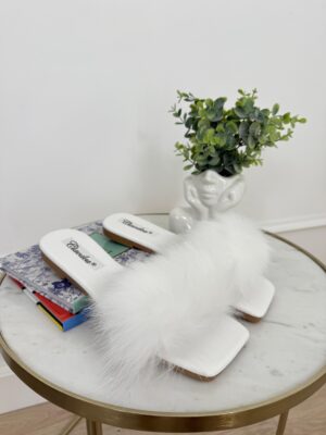 3d75b0fe-54e6-477e-bcd8-0cf2ce335b3f