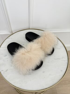 d7785eb0-4f93-4801-98d3-84082a51b645