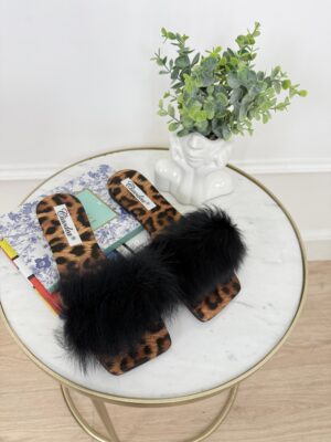 db881484-653c-4b7b-ae58-2fd43e04c4c6