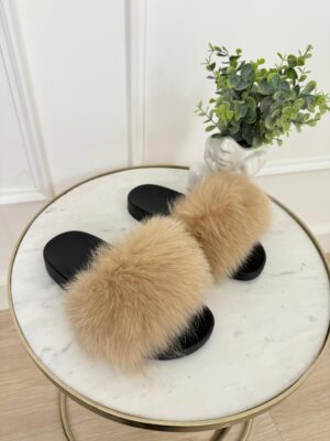 f2454f02-04db-4e78-a7e3-c8bb28f90897